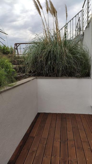 Neue 90 Qm 2-Zimmerwohnung Naehe Koeln โอเดนทาล ภายนอก รูปภาพ